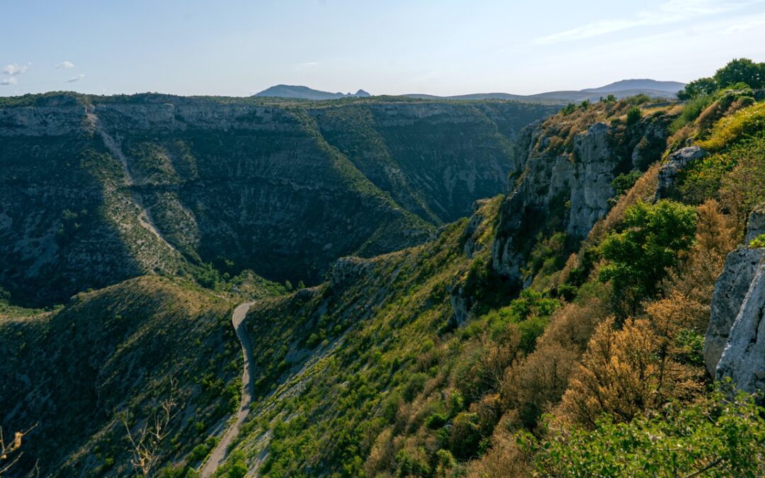 Projet FAPO 2050 : les Futurs de l’Agroécologie Paysanne en Occitanie en 2050