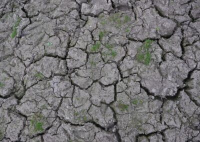 Impacts des changements climatiques sur l’agroécologie paysanne en Occitanie